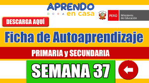 Recopilación de 100 fichas para si quieres este material, lo puede descargar completamente gratis y en pdf listo para imprimir. Salio Las Fichas De Autoaprendizaje Actualizadas Para La Semana 37 Para Primaria Y Secundaria Descargar