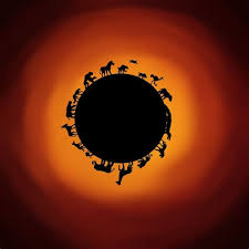 View the profiles of people named somali wasmo. A 29 Lister Over The Circle Of Life Quote The Lyrics For The Opening Chant Of Circle Of Life Were Written By Lebo M A South African Composer Brought On To Work