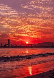 New arrivals · best sellers · live chat · contemporary art 500 Beautiful Sunset Pictures Hd Download Free Images On Unsplash