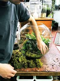 A Large Custom Globe Terrarium Being Planted Custom Globe Plants Terrarium