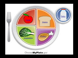2 4 Using Myplate To Plan A Healthy Diet Medicine Libretexts