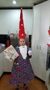 Wizard From The Magic Hat Book Week Costume Book Costume Book Week Costumes