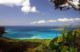 Cinnamon Bay Trail Overlook St John Usvi Favorite Places Natural Landmarks West Indies