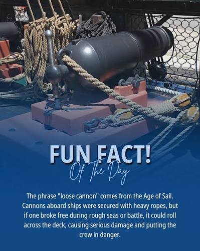 Ever wondered where the phrase "loose cannon" comes from? ⚓ #tallshipscan  #TallShips #Sailing #tallshipsailing #funfact