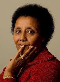 lydia tewolde's favorites