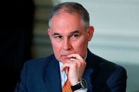 Is Trump draining the swamp