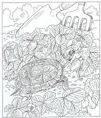 Each printable highlights a word that starts. 40 Coloring Pages Of Nature Around The House On Kids N Fun Co Uk Op Kids N Fun Vind Je Altijd De Coloring Pages Nature Farm Coloring Pages Cool Coloring Pages