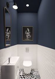 Idees Peinture Plafond Deco Toilettes Idee Deco Toilettes Idee Wc
