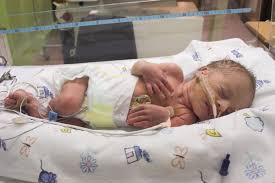 Ia dibawa dan disebarkan melalui gigitan nyamuk. Jangan Main Main Denggi Masa Hamil Boleh Akibatkan Bayi Lahir Tak Cukup Bulan Atau Janin Mati Dalam Kandungan Pa Ma
