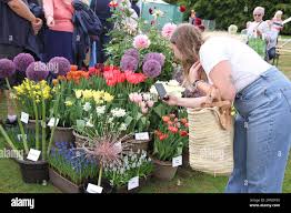 Gardeners world autumn fair 2023 hi-res stock photography and images