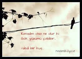 kanadim olsa ne olur ki gok yuzumu caldilar dedi bir kus nazimkoyce dedi bir kus caldilar kus