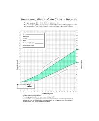 Pregnancy Growth Chart Month By Month Pregnancy Weeks To