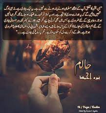 Haalim Urdunovel Quotes From Novels Wise Words Quotes Jokes Quotes