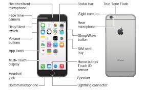Here is the cellphone diagram of iphone 6 pcb.so i will add some more cellphone diagram in high resolution so that you can add some more to get new repairing cellphone diagrams and applications with email enter your email address for rss: at the right side at top and press subscribe. Iphone 6 Plus Block Diagram Full Hd Version Block Diagram Lulu Diagram Chateaulesgrimard Fr
