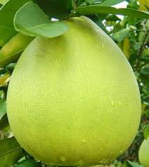 Pin On Frutas