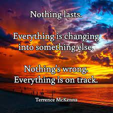 Do something when you are young, when you have nothing to lose, and keep that in mind. Nothing Lasts Everything Is Changing Into Something Else Nothing S Wrong Everything Is On Track Ter Terence Mckenna Wonderful Words Thoughts Quotes