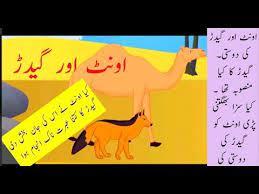 Short stories for kids, values, parenting, blogger, bedtimestories, moral, values, reading is fun, stories are important friends tellmeastorymom the jackal and the so he asked the camel to accompany him to go to the village. Ø§ÙˆÙ†Ù¹ Ø§ÙˆØ± Ú¯ÛŒØ¯Ú'Ø± Camel And Jackal Ont Aur Geadr Youtube