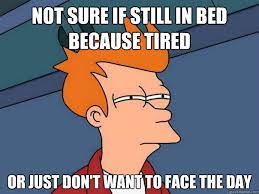 Not Sure If Still In Bed Because Tired Or Just Don T Want To Face The Day Futurama Fry Quickmeme