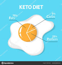 Keto Diet Concept Egg Diagram Showing Percentage Stock