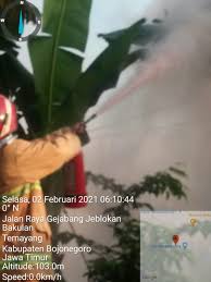 We did not find results for: Dinas Pemadam Kebakaran Kabupaten Bojonegoro