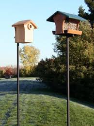 Aps Bird Feeder Pole System Wbu Aps Basic Setup Mounting Hardware Picture Wild Birds Unlimited Bird Feeders Backyard Birds