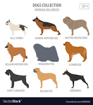 Working dogs - List of all working dog breeds - K9 ...