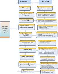 Image result for Cancer Pain Management