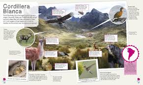 ˌkolo ˈkolo) is a chilean professional football club based in macul, santiago.founded in 1925 by david arellano they play in the chilean primera división, from which they have never been relegated. Children S Illustrated Animal Atlas Dk Amazon De Bucher