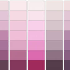 © 2021 хотплеер по всем вопросам пишите на. Color Millerpaint Com