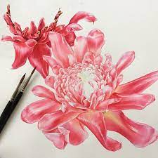 The Flowers Smell Like My Mom S Favourite Recipe Etlingera Elatior Torch Ginger Honje Kecombrang Is Known As A Herb Spice In Several Provinces In Indone Bunga