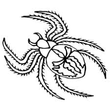 As well as being very interesting insects, spiders have long been depicted in popular culture, symbolism and mythology. Top 10 Free Printable Spider Coloring Pages Online
