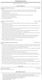 Osha health compliance officer i. Compliance Officer Corporate Compliance Resume Sample Mintresume