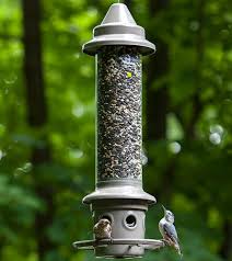 The uses of duct tape continue to amaze the world. 6 Squirrel Proof Bird Feeders That Actually Work Bird Watching Hq