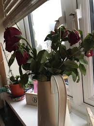 Maybe you would like to learn more about one of these? M S On Twitter We Always Guarantee Our Flowers To Last At Least 5 Days Please Take Your Receipt And Or Packaging To Store Next Time You Visit 1 2 Https T Co 6szbaav51q
