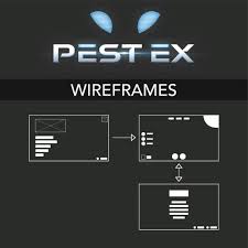 You may think what has detectives got to do with pest control? Faith Chow Pest Ex Wireframes