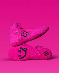 Image result for Aspilia rudis