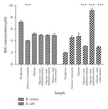 Image result for Cissus welwitschii