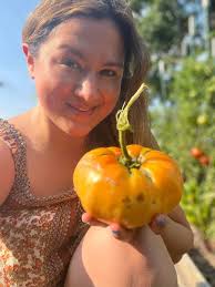 Giant tomato grown in Calgary