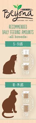 Healthy Cat Food Feeding Amounts For Beyond Natural Dry Pet Food Start With This Guide But Keep In Mind That Your Cat Healthy Cat Food Cat Food Food Animals