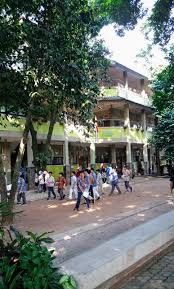 Yuk, pahami lewat artikel ini! Sd Semut Semut The Natural School Semut Semut