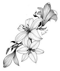 See more ideas about tattoos, flower tattoos, beautiful tattoos. Pin By Miriam Sosa On Tattoos Easy Flower Drawings Flower Drawing Lilies Drawing