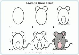 Learn To Draw A Rat Basic Drawing For Kids Mouse Drawing Basic Drawing to draw a rat basic drawing for kids