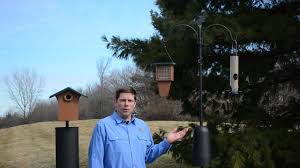 Check out my two favorite bird feeder pole systems for your backyard! The Two Best Bird Feeder Poles Squirrel Proof Sturdy Stylish Bird Watching Hq