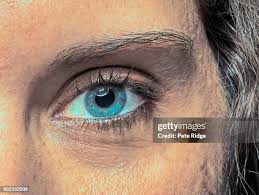 318 Pete Ridge Stock Photos, High-Res Pictures, and Images