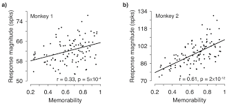 Population Response Magnitude Variation In Inferotemporal