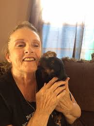 Support and Condolences for Loss of Dog Due to Collapsed Trachea