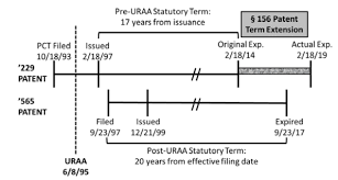 Reclaiming Their Time Patent Term Adjustment Pta And