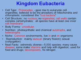 Taxonomy And Classification Ppt Video Online Download