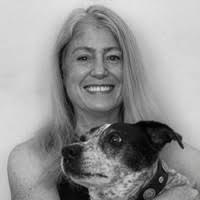 Michael Pires Email & Phone Number