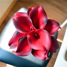 Umumnya berwarna putih namun ada juga yang berwarna merah, ungu, bahkan orange dengan putik yang kebanyakan. 10 Dk Merah Picasso Calla Lilies Nyata Sentuh Bunga Untuk Sutra Karangan Bunga Pernikahan Centerpieces Pernikahan Dekorasi Buatan Bunga Kering Aliexpress